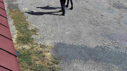 Nástup na běžecké tratě