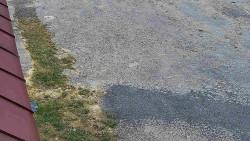 Nástup na běžecké tratě