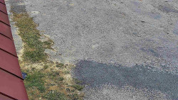 Nástup na běžecké tratě