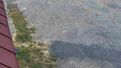 Nástup na běžecké tratě