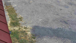 Nástup na běžecké tratě