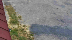 Nástup na běžecké tratě