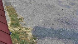 Nástup na běžecké tratě