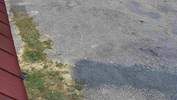 Nástup na běžecké tratě