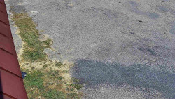 Nástup na běžecké tratě