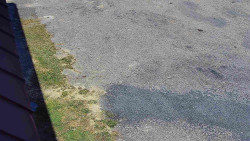 Nástup na běžecké tratě