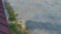 Nástup na běžecké tratě