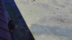 Nástup na běžecké tratě