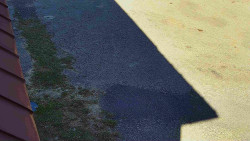 Nástup na běžecké tratě