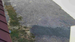 Nástup na běžecké tratě