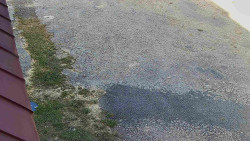 Nástup na běžecké tratě