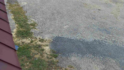 Nástup na běžecké tratě