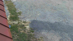 Nástup na běžecké tratě