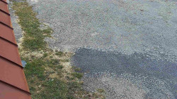 Nástup na běžecké tratě