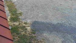 Nástup na běžecké tratě