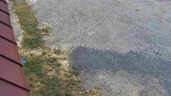 Nástup na běžecké tratě