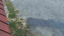 Nástup na běžecké tratě