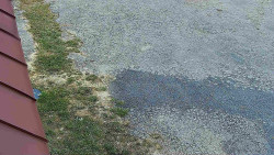 Nástup na běžecké tratě