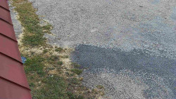 Nástup na běžecké tratě