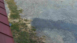 Nástup na běžecké tratě