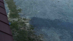 Nástup na běžecké tratě