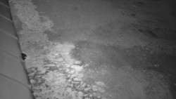 Nástup na běžecké tratě