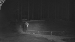 Nástup na běžecké tratě