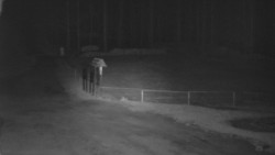 Nástup na běžecké tratě