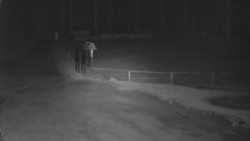 Nástup na běžecké tratě