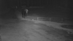 Nástup na běžecké tratě