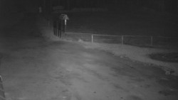 Nástup na běžecké tratě