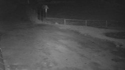 Nástup na běžecké tratě