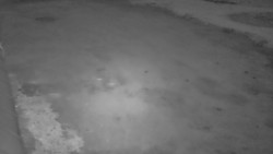 Nástup na běžecké tratě