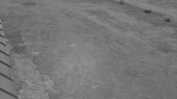 Nástup na běžecké tratě