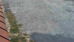 Nástup na běžecké tratě