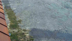 Nástup na běžecké tratě