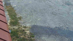 Nástup na běžecké tratě