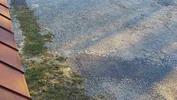 Nástup na běžecké tratě