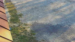 Nástup na běžecké tratě