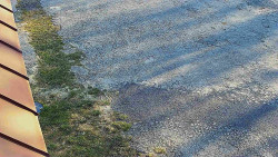 Nástup na běžecké tratě