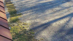 Nástup na běžecké tratě