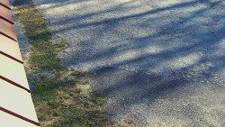 Nástup na běžecké tratě