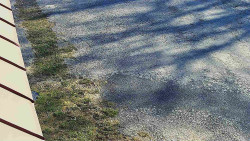 Nástup na běžecké tratě