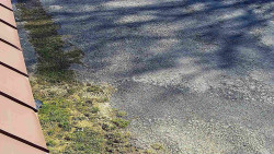 Nástup na běžecké tratě