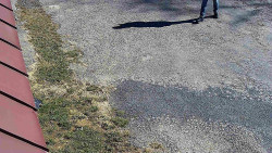 Nástup na běžecké tratě