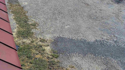 Nástup na běžecké tratě