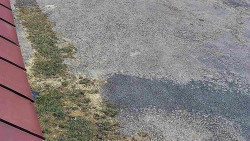 Nástup na běžecké tratě