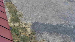 Nástup na běžecké tratě