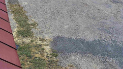 Nástup na běžecké tratě