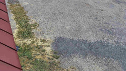 Nástup na běžecké tratě